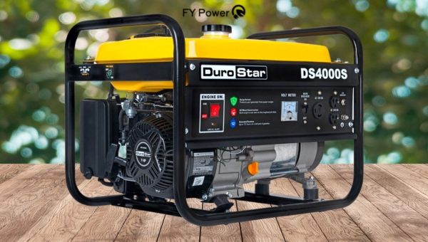 best 4000-Watt Generator: DuroStar DS4000S