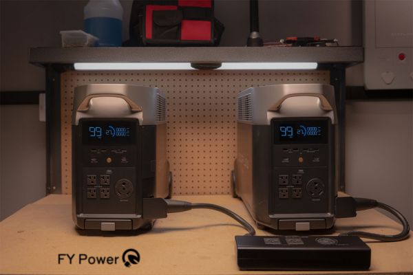 Can The EcoFlow Delta Pro Power a House Entirely?