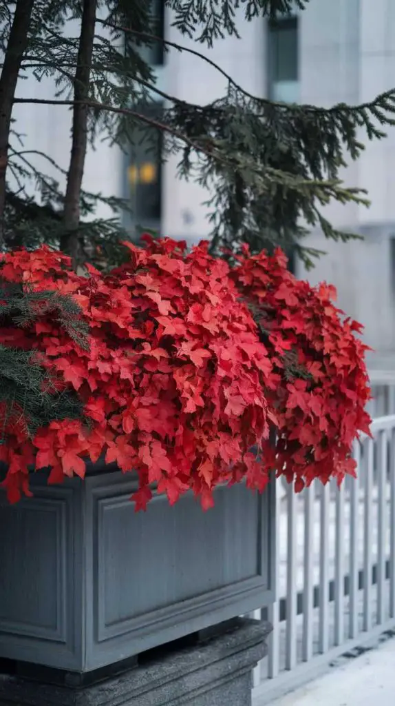 29 Winter Planter Ideas You’ll Want to Steal for a Gorgeous Garden Makeover! 13 29 Winter Planter Ideas You’ll Want to Steal for a Gorgeous Garden Makeover! 12