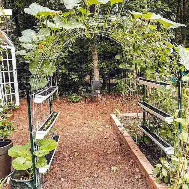 25 Vertical Garden Ideas to Elevate Your Space 12