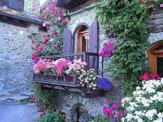 25 Vertical Garden Ideas to Elevate Your Space 14