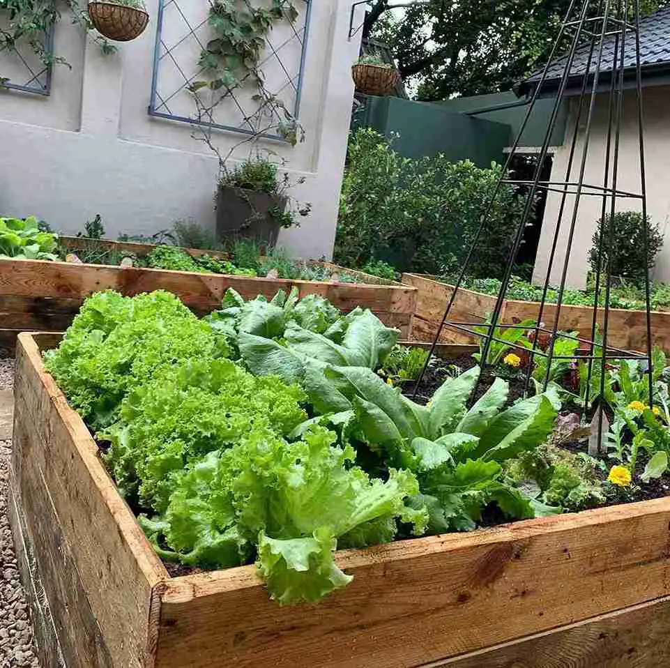 13 Potager Garden Ideas for the Modern Garden Enthusiast 4