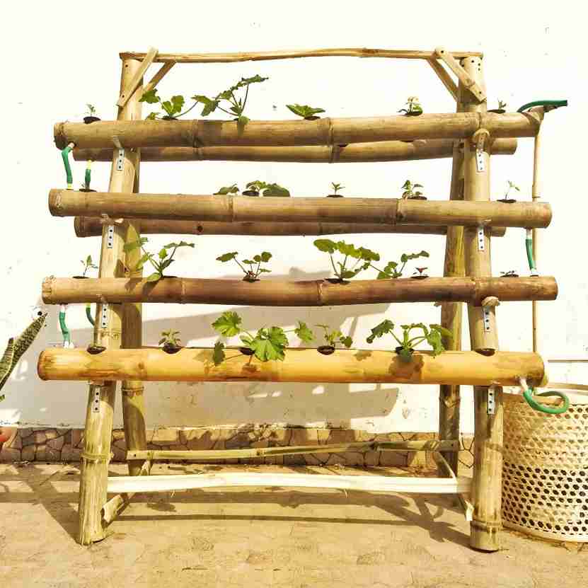 25 Vertical Garden Ideas to Elevate Your Space 23