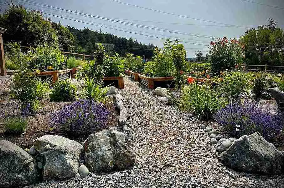 17 Quarter Acres Homestead Garden Layout Ideas to Transform Your Outdoor Space 13