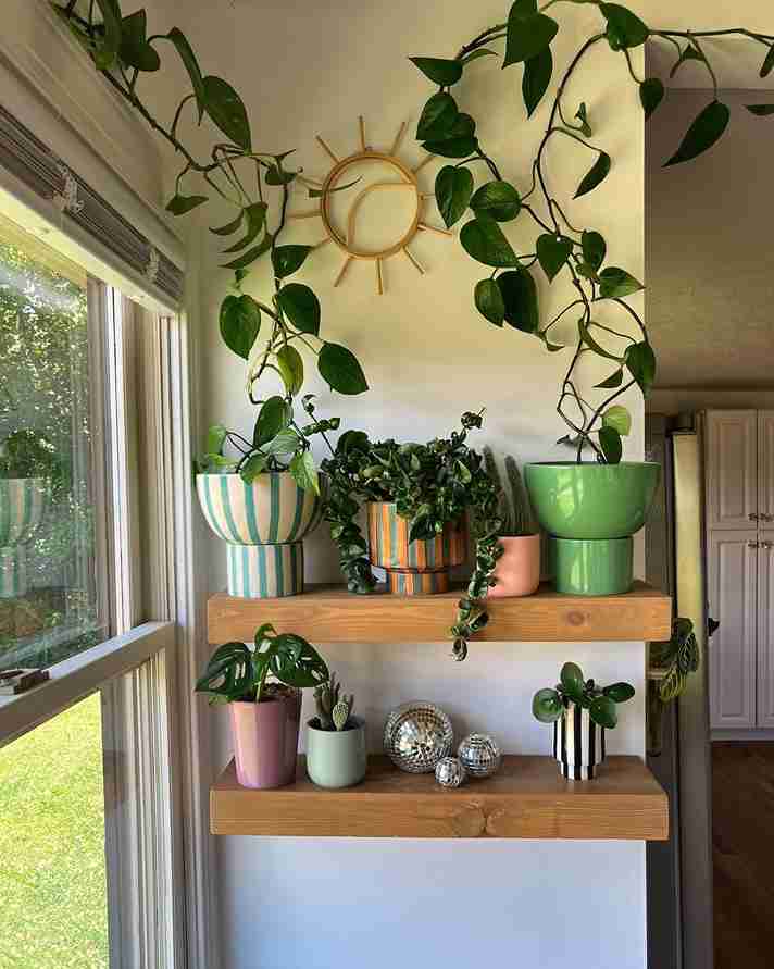 31 DIY Window Plant Shelf Ideas to Transform Your Space 6 31 DIY Window Plant Shelf Ideas to Transform Your Space 5