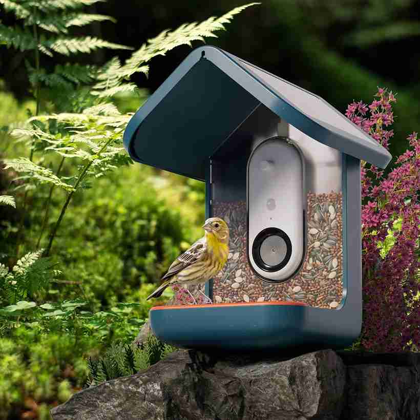 13 DIY Bird Feeder Station Ideas to Transform Your Backyard 9