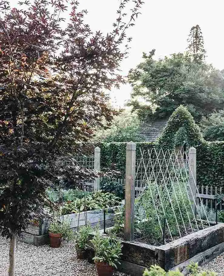 13 Potager Garden Ideas for the Modern Garden Enthusiast 10