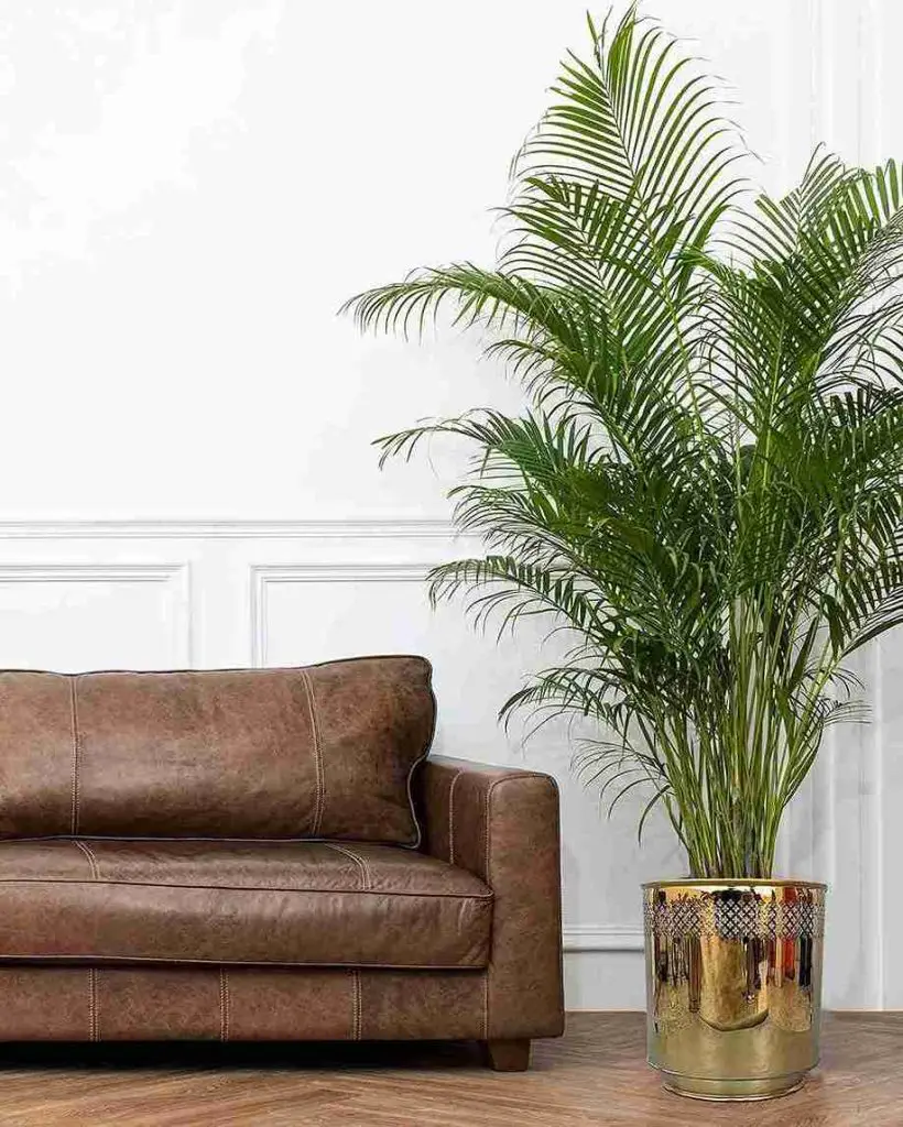 21 Modern Planters to Perk Up Your Indoor and Outdoor Space 9 21 Modern Planters to Perk Up Your Indoor and Outdoor Space 8