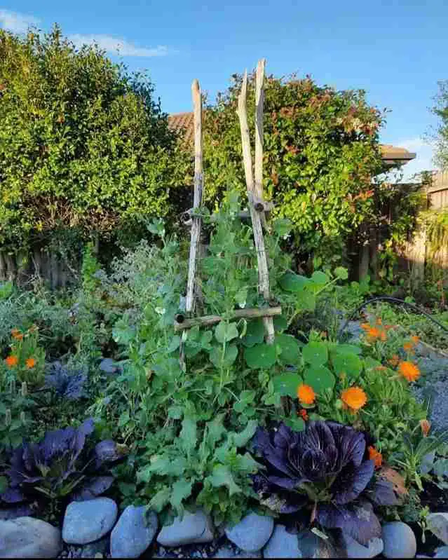 13 Potager Garden Ideas for the Modern Garden Enthusiast 14