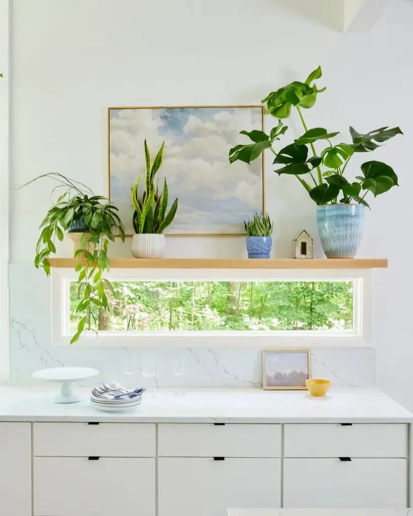 25 Vertical Garden Ideas to Elevate Your Space 17