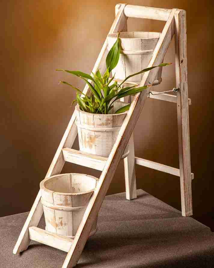 25 Vertical Garden Ideas to Elevate Your Space 9