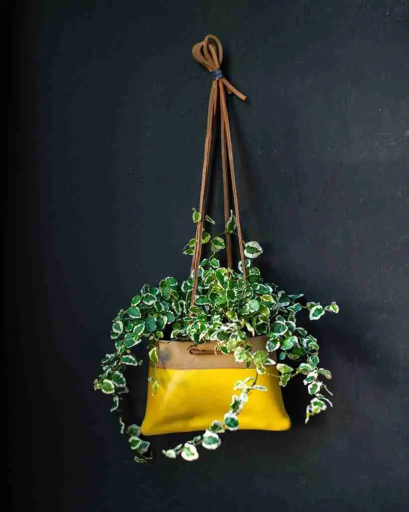 25 Vertical Garden Ideas to Elevate Your Space 3
