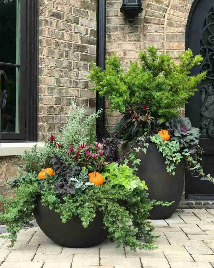 13 Potager Garden Ideas for the Modern Garden Enthusiast 11