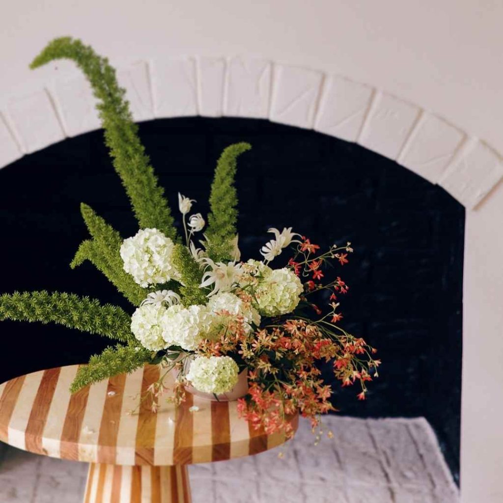 17 Foxtail Fern Ideas to Transform Your Home and Garden 5