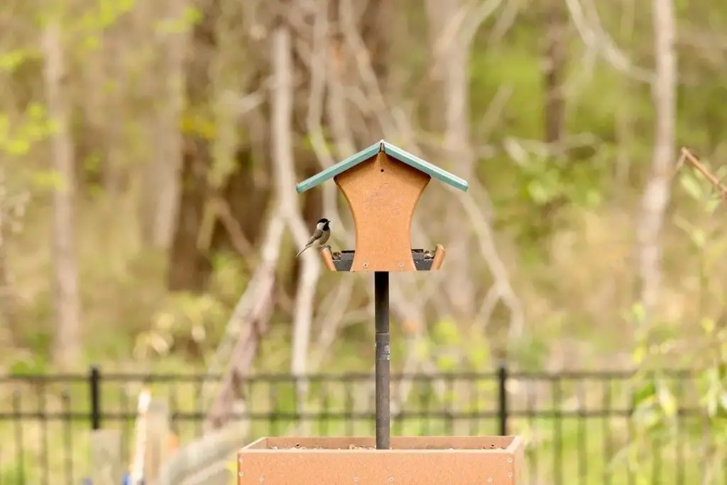 13 DIY Bird Feeder Station Ideas to Transform Your Backyard 8