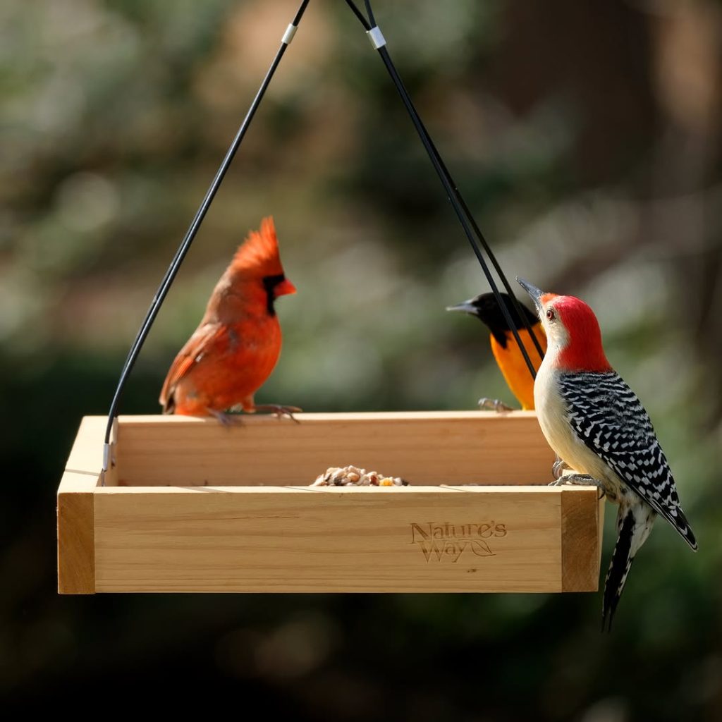 13 DIY Bird Feeder Station Ideas to Transform Your Backyard 5