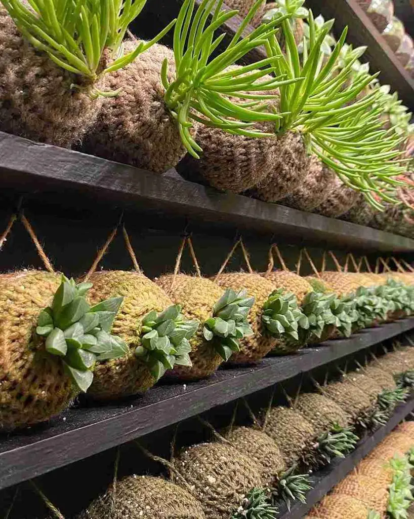 25 Vertical Garden Ideas to Elevate Your Space 19