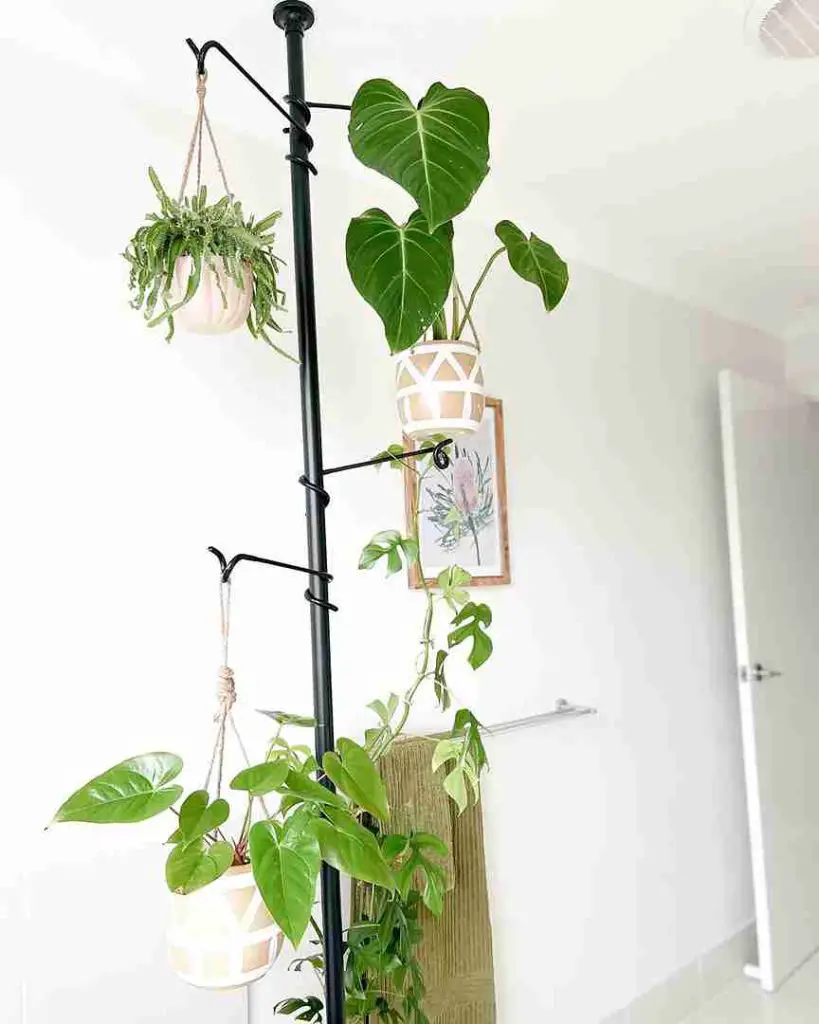 31 DIY Window Plant Shelf Ideas to Transform Your Space 25 31 DIY Window Plant Shelf Ideas to Transform Your Space 24