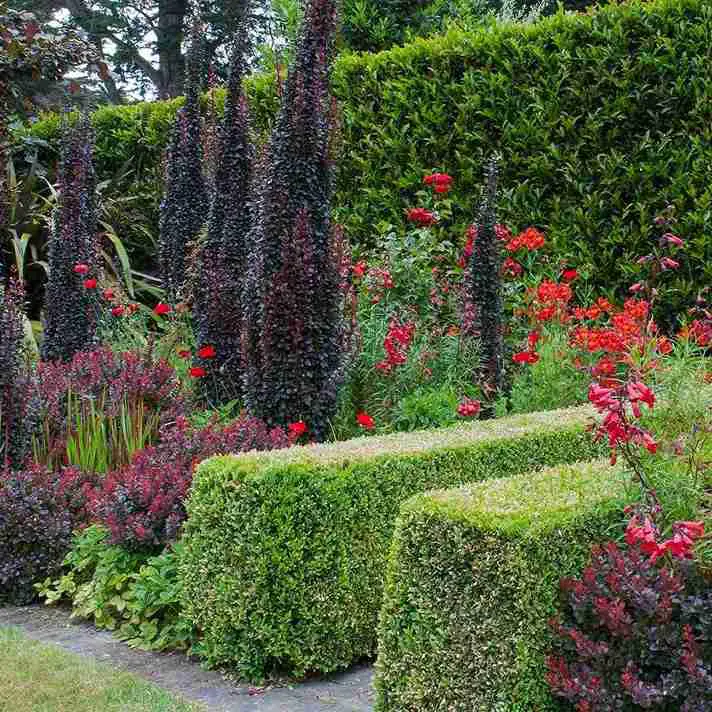 13 Potager Garden Ideas for the Modern Garden Enthusiast 8