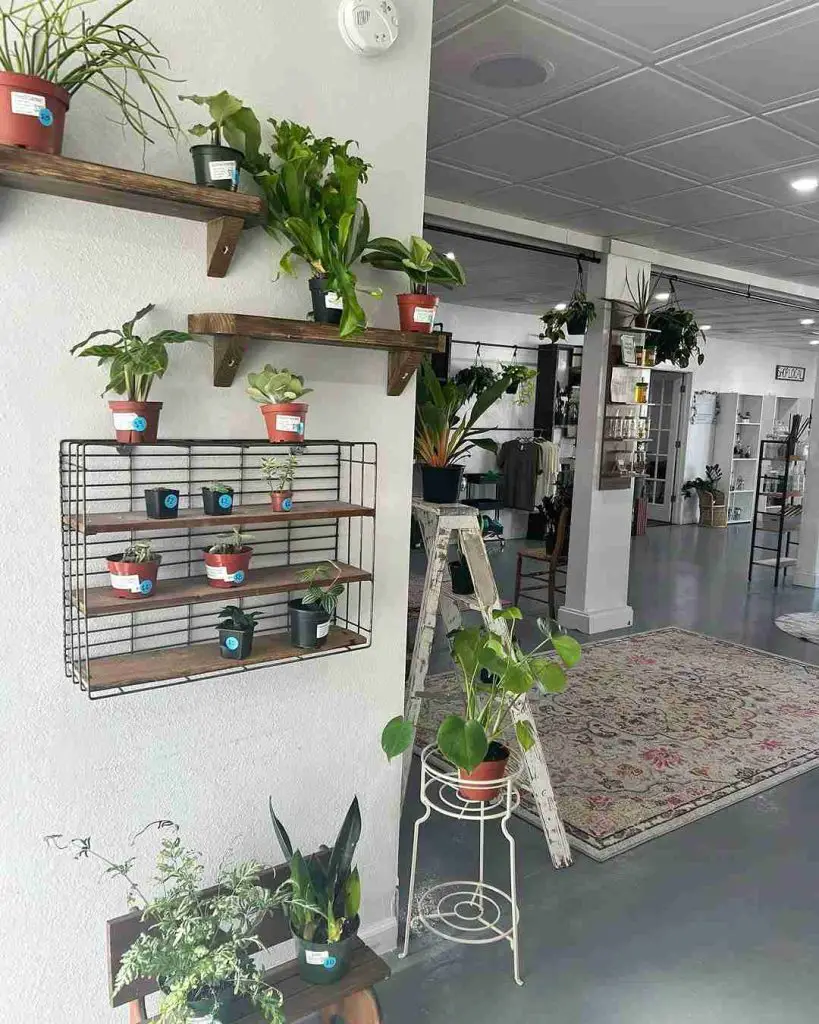 31 DIY Window Plant Shelf Ideas to Transform Your Space 21 31 DIY Window Plant Shelf Ideas to Transform Your Space 20