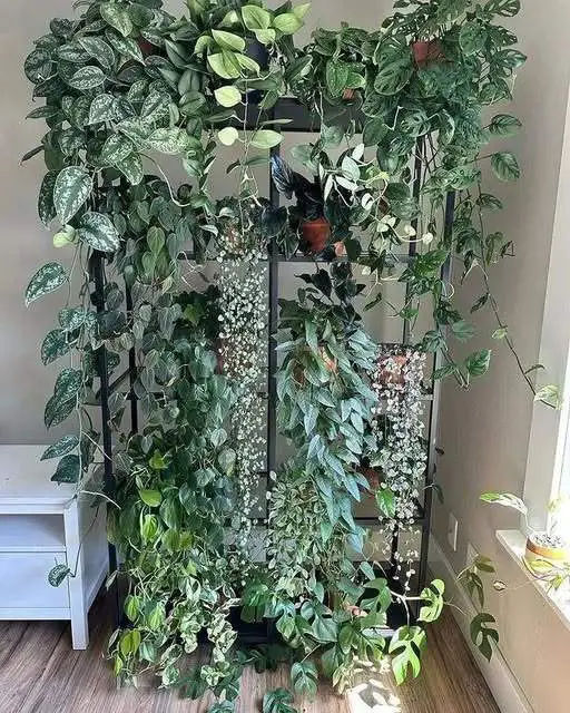 25 Vertical Garden Ideas to Elevate Your Space 13