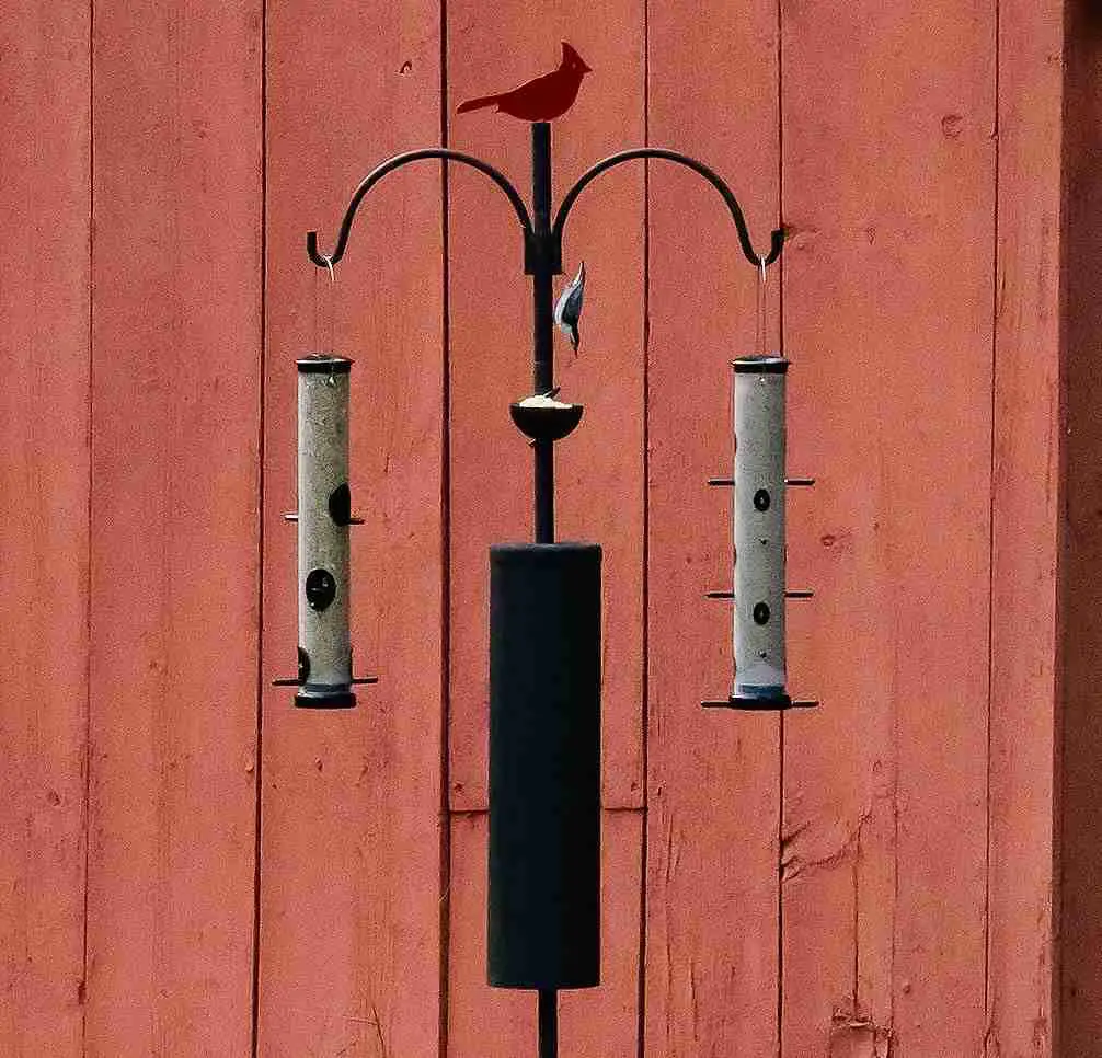 13 DIY Bird Feeder Station Ideas to Transform Your Backyard 2