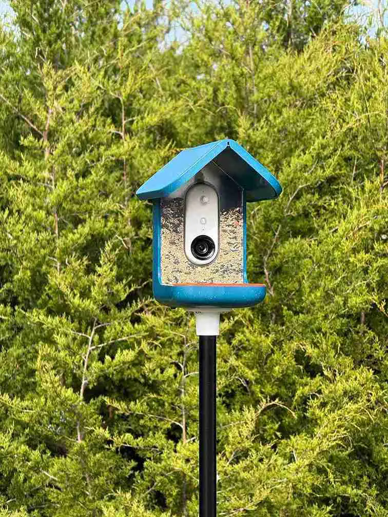 13 DIY Bird Feeder Station Ideas to Transform Your Backyard 10
