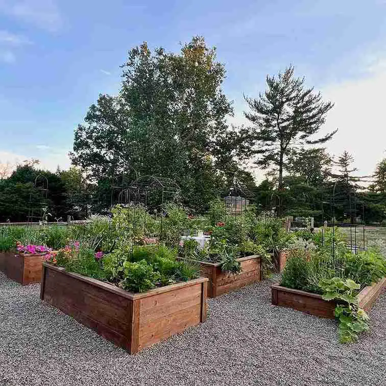 17 Quarter Acres Homestead Garden Layout Ideas to Transform Your Outdoor Space 22