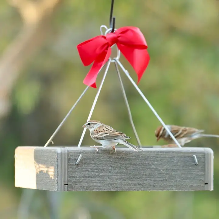 13 DIY Bird Feeder Station Ideas to Transform Your Backyard 4