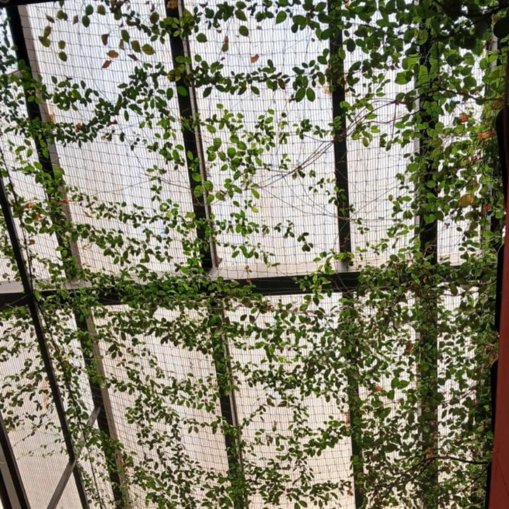 17 Pothos Climbing Ideas to Elevate Your Indoor Jungle 15 17 Pothos Climbing Ideas to Elevate Your Indoor Jungle 14