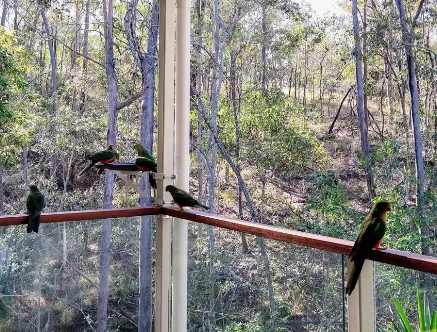 13 DIY Bird Feeder Station Ideas to Transform Your Backyard 3